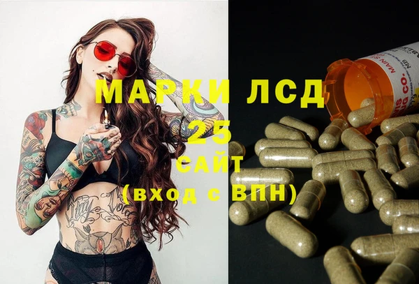 гидра Алзамай