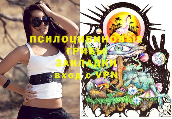 шишки Алексеевка