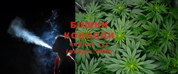PSILOCYBIN Саяногорск
