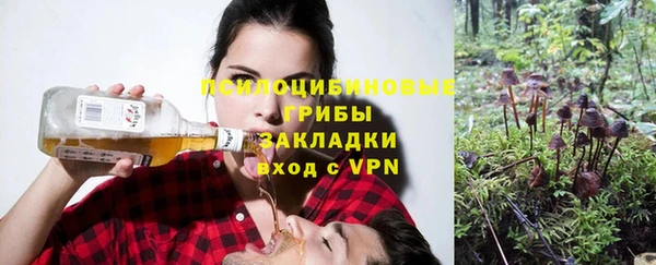 PSILOCYBIN Саяногорск