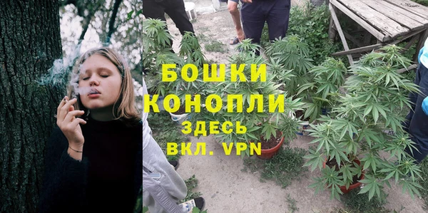 шишки Алексеевка