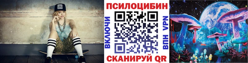 Галлюциногенные грибы Psilocybe  Бронницы 